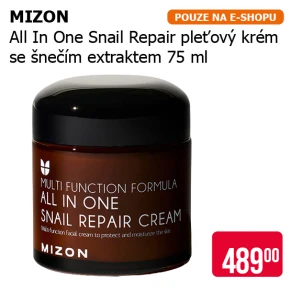 MIZON All In One Snail Repair pleťový krém se šnečím extraktem 75 ml
