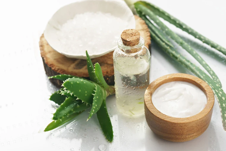 10 dvod, pro mt doma Aloe vera | Teta drogerie