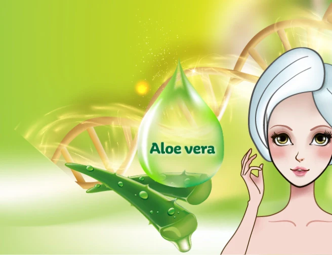 Kosmetické ingredience: Aloe vera
