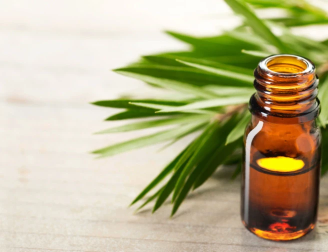 Kouzelník ve vaší koupelně aneb Co dokáže Tea Tree olej