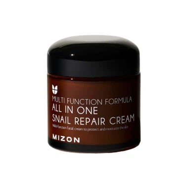MIZON All In One Snail Repair Pleťový krém se šnečím extraktem 75 ml