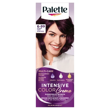 Palette Intensive Color Creme barva na vlasy Intenzivní fialový 6-99
