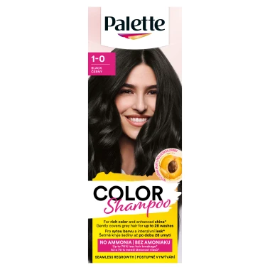 Palette Color Shampoo barva na vlasy černý 1-0