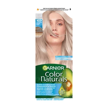 Garnier CN 103 Artic Dust