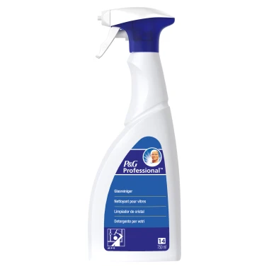 Mr. Proper Professional 14 Sprej na čištění skla 750 ml