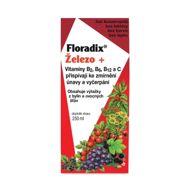 Floradix Železo + vitamíny 250ml