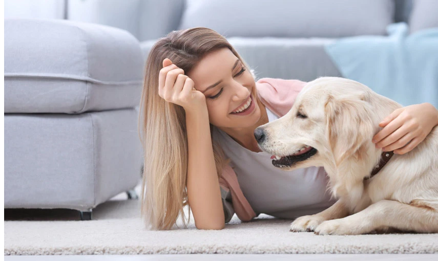5 tipů, jak se doma zbavit zvířecích chlupů hlavní banner