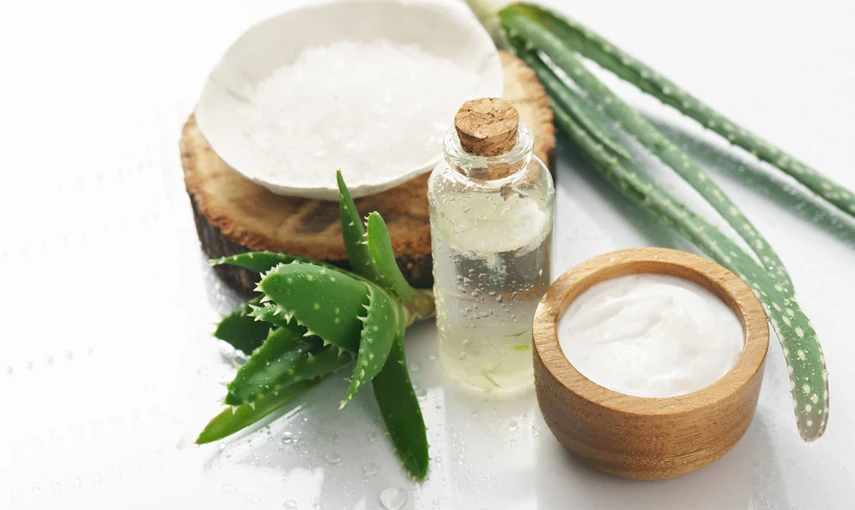 10 důvodů, proč mít doma Aloe vera hlavní banner