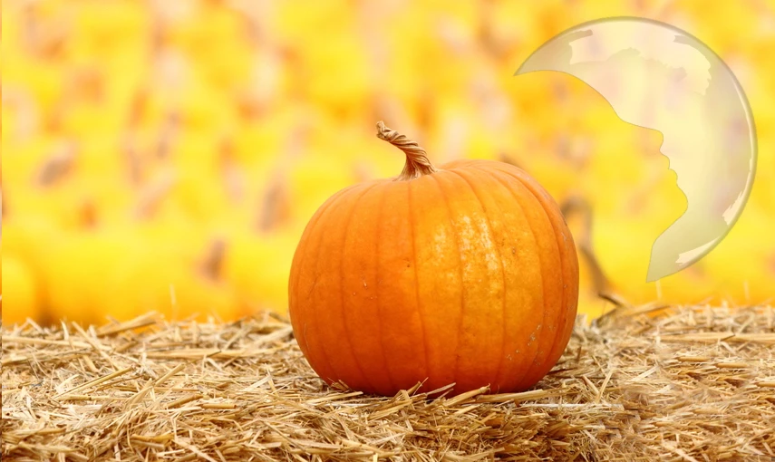 Říjnový horoskop a lunární kalendář pro krásu hlavní banner