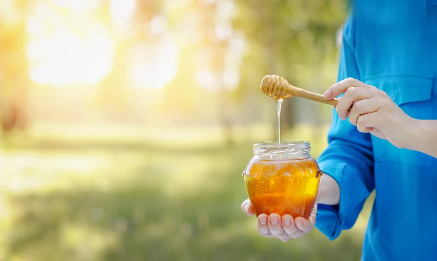 Sladkost, lék i kosmetika v jednom. Elixír zvaný med hlavní banner