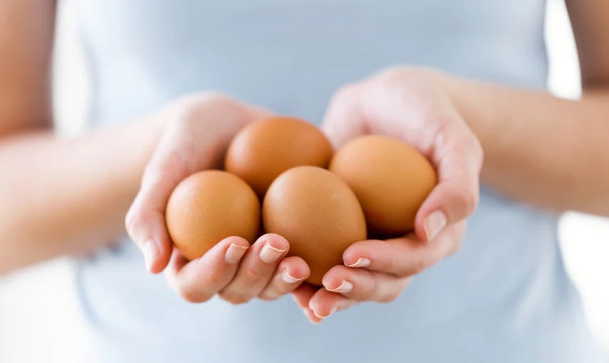 Co dokážou vejce?  hlavní banner