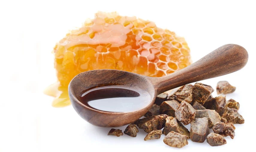 Co dokáže propolis hlavní banner